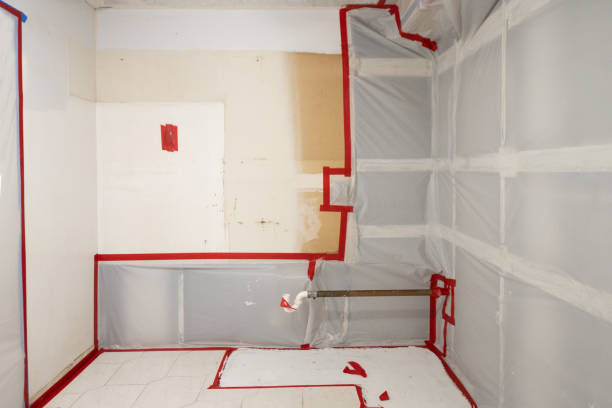 Best Attic Mold Removal  in Salem, MO