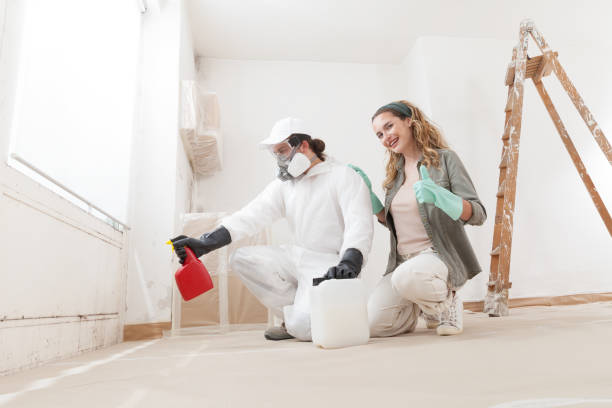 Best Dehumidification Services  in Salem, MO